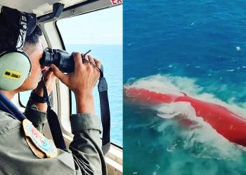 Kronologi Hilang Kontak, Terbalik, Hingga Tenggelamnya KMP Virgo Transport 8 di Masalembo Laut Jawa