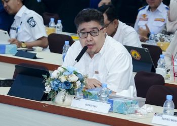PLN dan Kementerian ESDM Perkuat Sinergi Percepatan Listrik Perdesaan di Sumatera Selatan