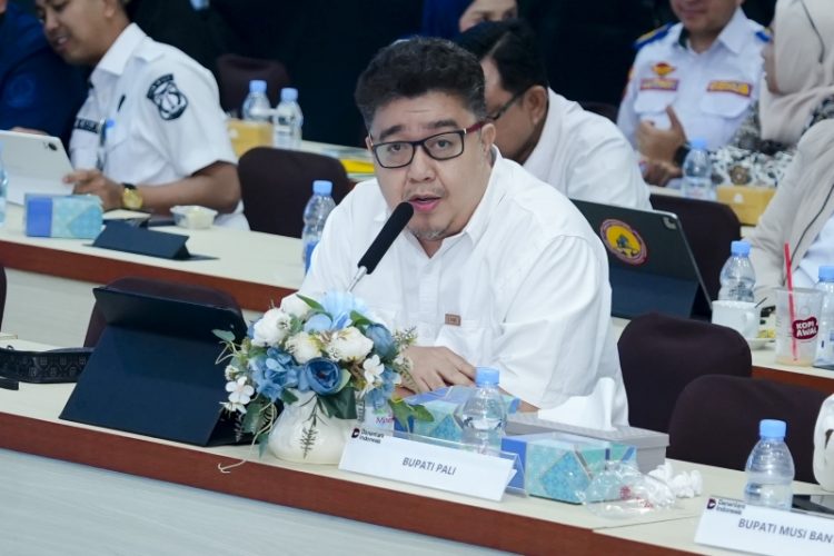 PLN dan Kementerian ESDM Perkuat Sinergi Percepatan Listrik Perdesaan di Sumatera Selatan