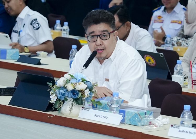 PLN dan Kementerian ESDM Perkuat Sinergi Percepatan Listrik Perdesaan di Sumatera Selatan