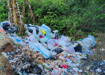 Tumpukan Sampah Menggunung di Bekas Galian Tol Karang Sari, Warga Resah