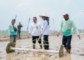 Tembus 11 Ton per Hektare, Pemprov Lampung Perkuat Sistem PM-AAS Guna Lipatgandakan Keuntungan Petani