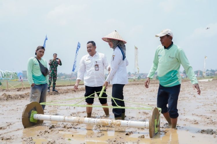 Tembus 11 Ton per Hektare, Pemprov Lampung Perkuat Sistem PM-AAS Guna Lipatgandakan Keuntungan Petani
