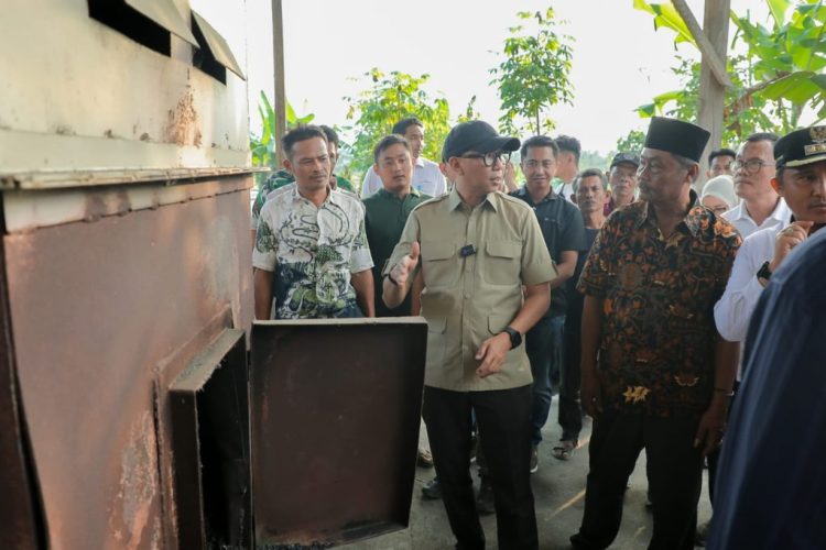 Pangkas Waktu Jemur Jadi 12 Jam, Petani Suoh Apresiasi Mesin Pengering Gabah dari Gubernur Mirza