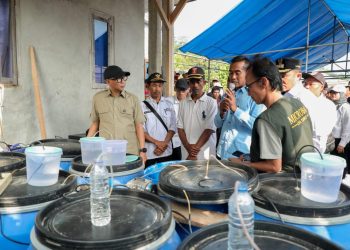 Tinjau Rumah Produksi Pupuk Organik di Suoh, Gubernur Mirza Targetkan Panen Padi Naik 1 Ton