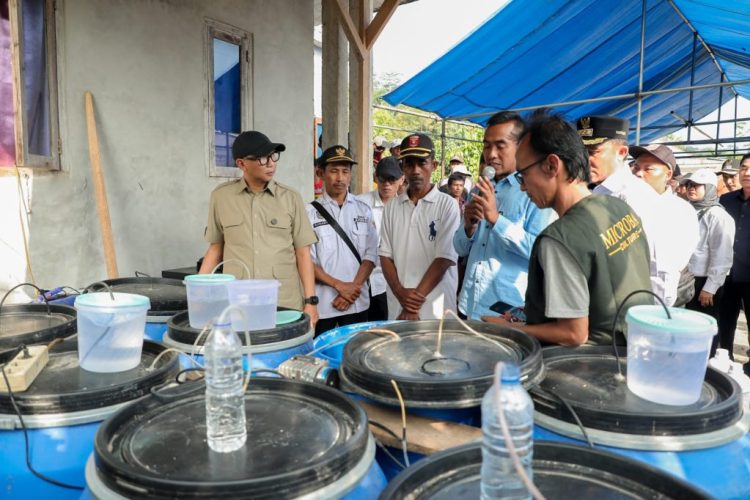 Tinjau Rumah Produksi Pupuk Organik di Suoh, Gubernur Mirza Targetkan Panen Padi Naik 1 Ton