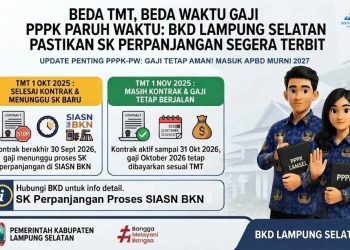 Bukan Masalah Anggaran, BKD Ungkap Penyebab Sebagian PPPK Paruh Waktu Belum Gajian