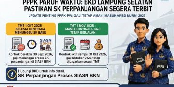 Bukan Masalah Anggaran, BKD Ungkap Penyebab Sebagian PPPK Paruh Waktu Belum Gajian