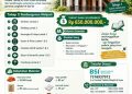 Pondasi Rampung, Pengurus Masjid Al Iman Buka Donasi Material dan Kas Tahfidz