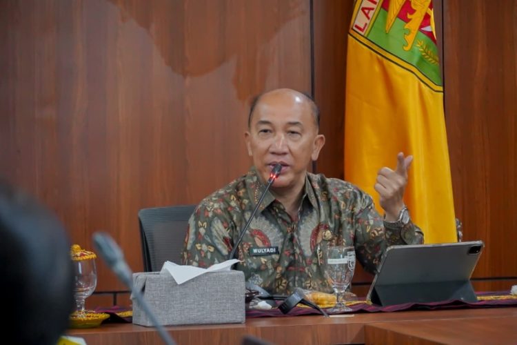 Kawasan Industri Katibung Jadi Fokus Pemprov Lampung, FS Ditargetkan Rampung Sebelum Desember