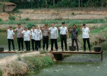 Panen Raya Patin di Lampung Selatan, Pokdakan Jaya Mandiri Lestari Jadi Percontohan
