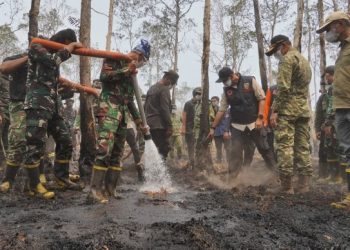 Gubernur Mirza dan BNPB Perkuat Penanganan Kebakaran di TNWK, Ratusan Personel Dikerahkan