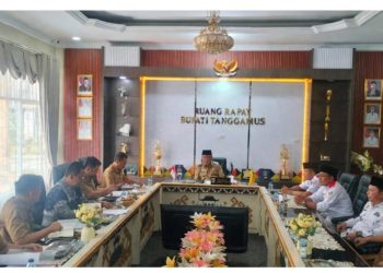 Audiensi dengan APDESI Merah Putih, Pemkab Tanggamus Bahas Anggaran dan Insentif Aparatur Pekon