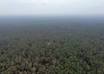 Karhutla Way Kambas Terkendali, Satgas Darat Lanjutkan Penyisiran dan Deteksi Dini