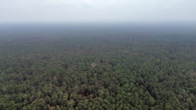 Karhutla Way Kambas Terkendali, Satgas Darat Lanjutkan Penyisiran dan Deteksi Dini